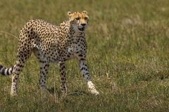 Kenya-2023-11