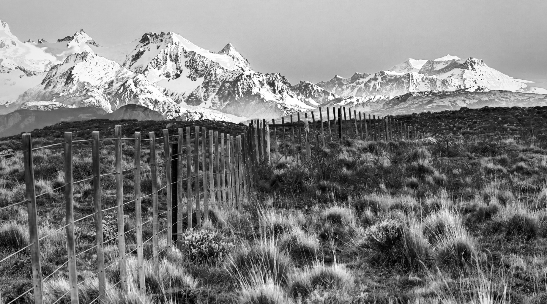 Patagonia-2023-1-24