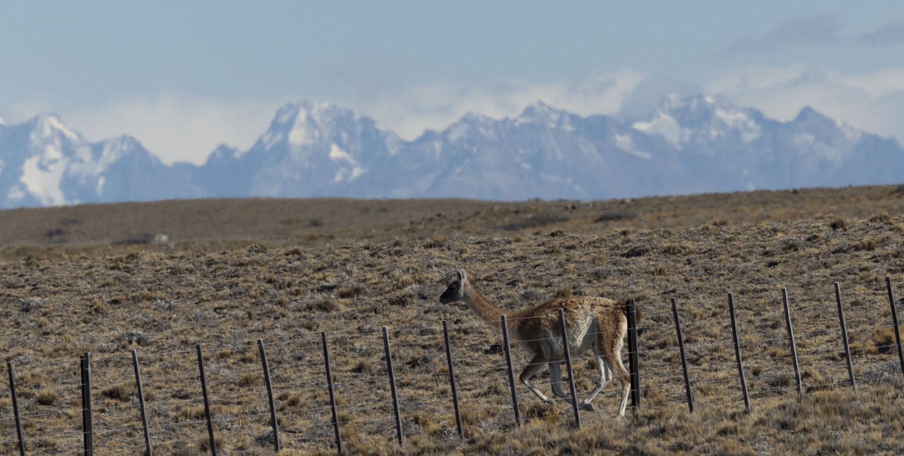 Patagonia-2023-1-34