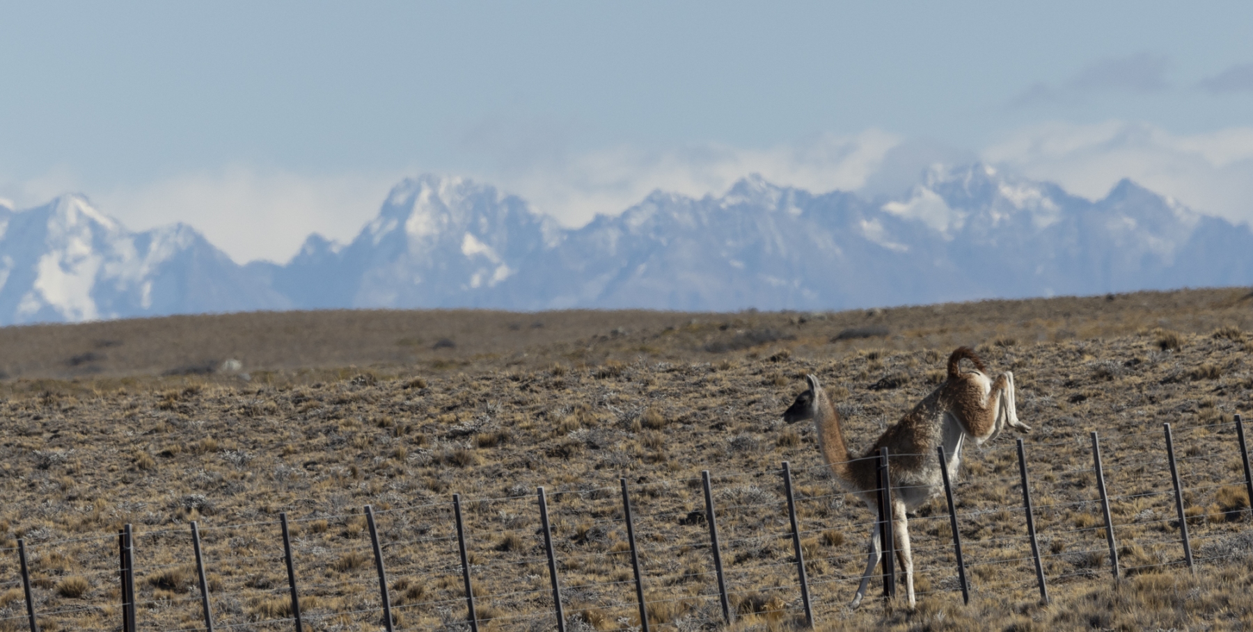 Patagonia-2023-1-39