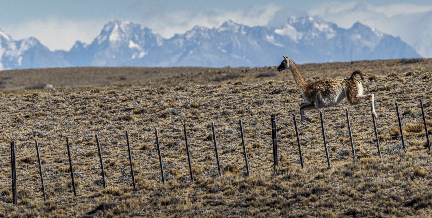 Patagonia-2023-1-40