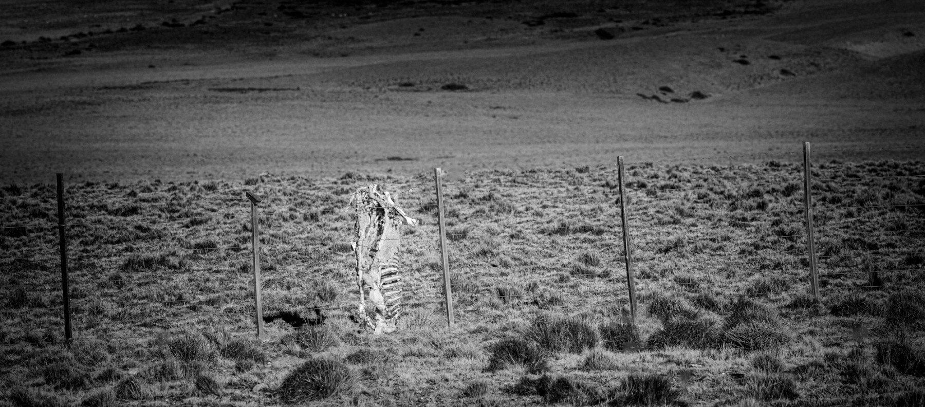 Patagonia-2023-1-47
