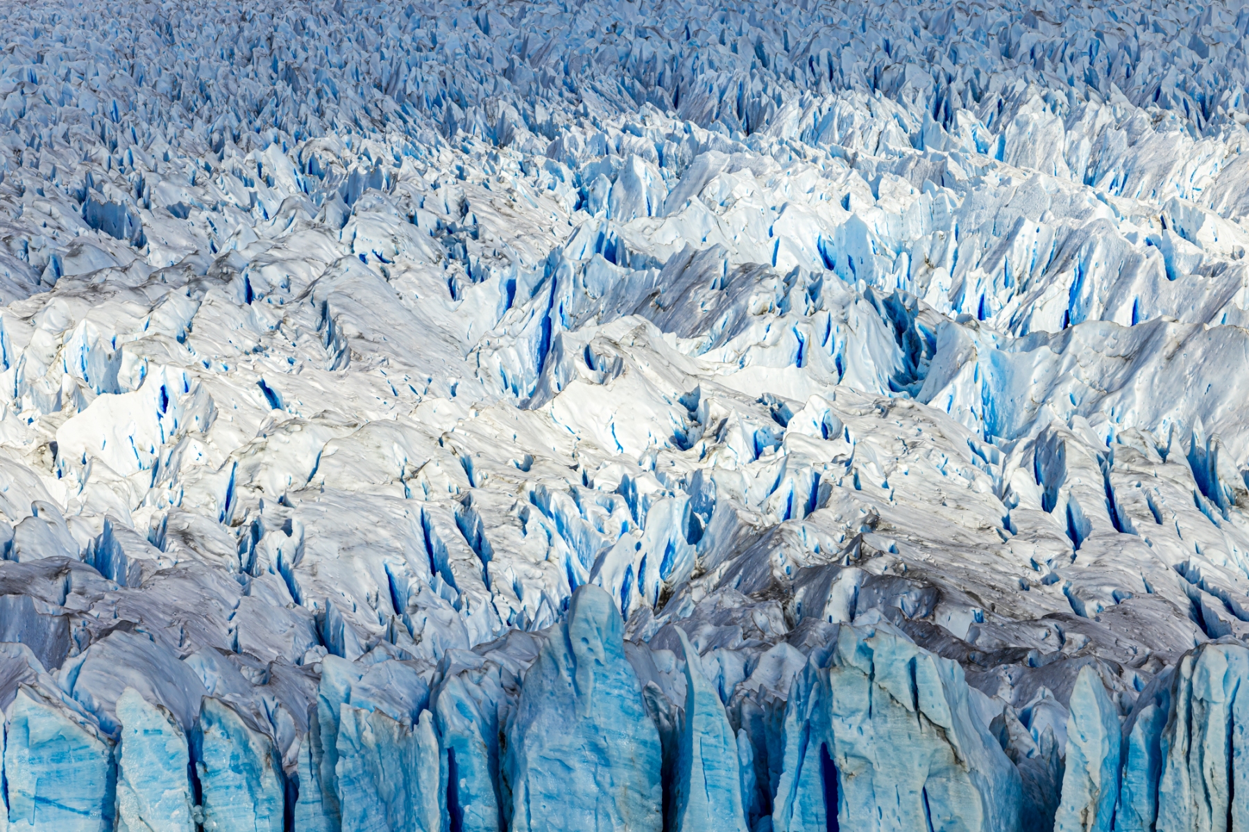 Patagonia-2023-1-57