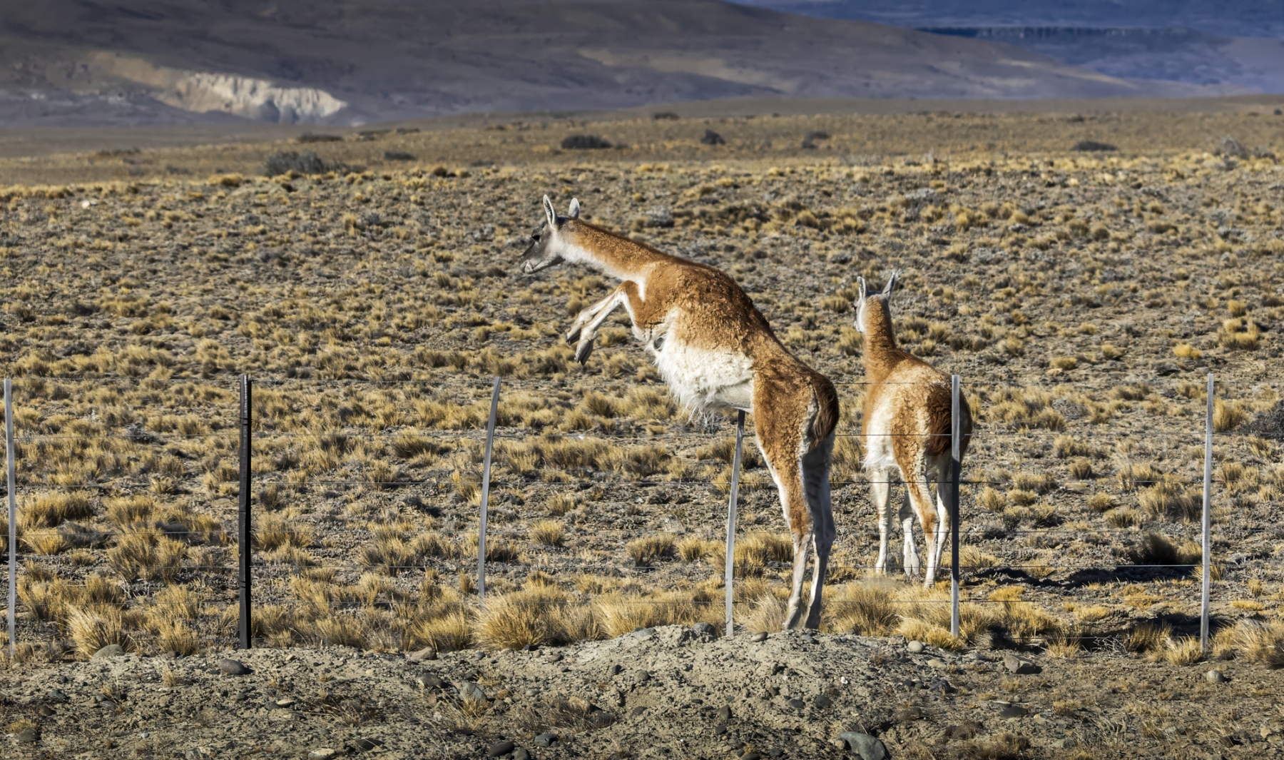 Patagonia-2023-2-14