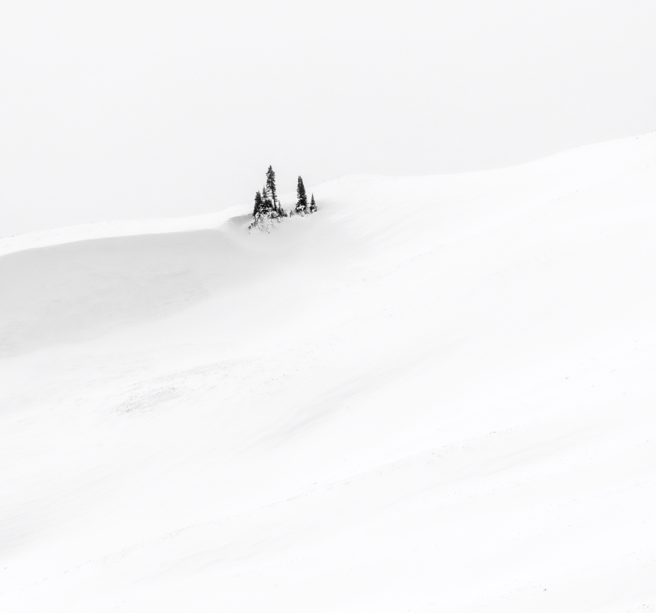 Yellowstone-2023-3