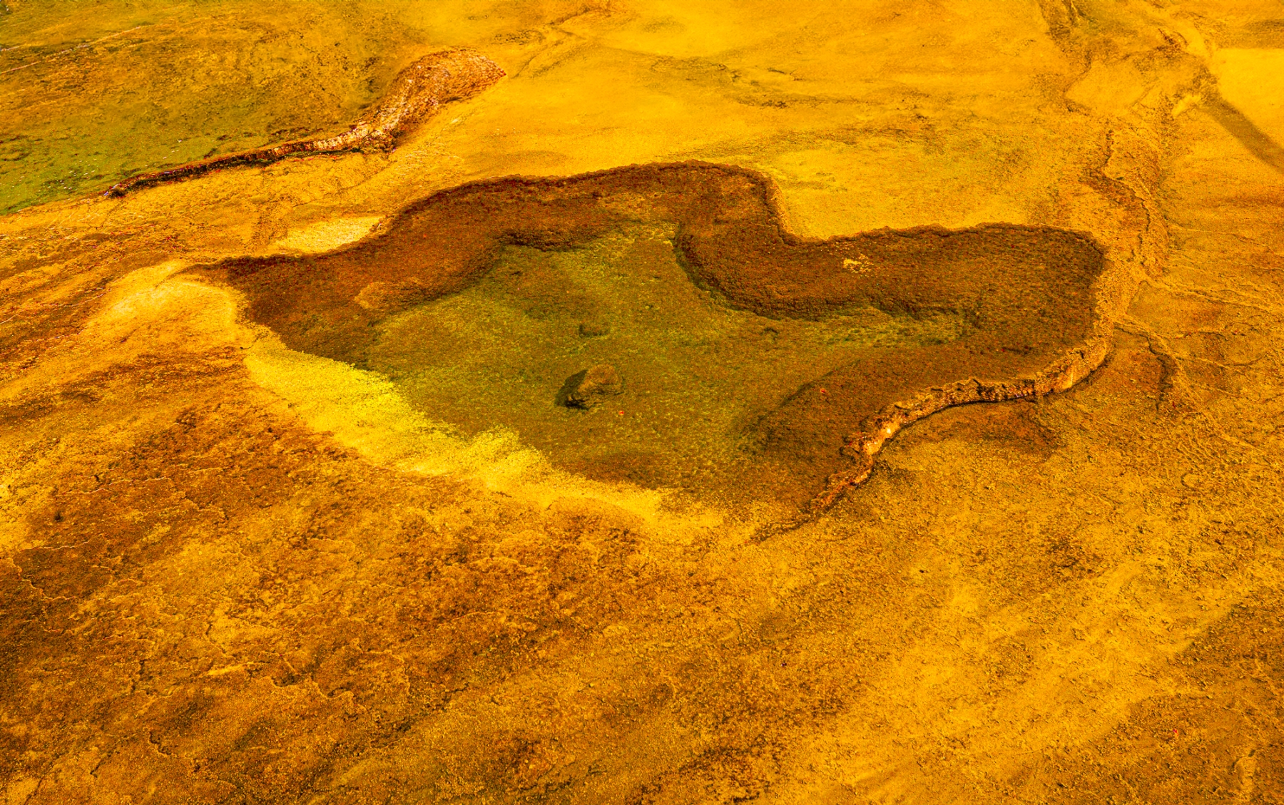 Yellowstone-2024-3