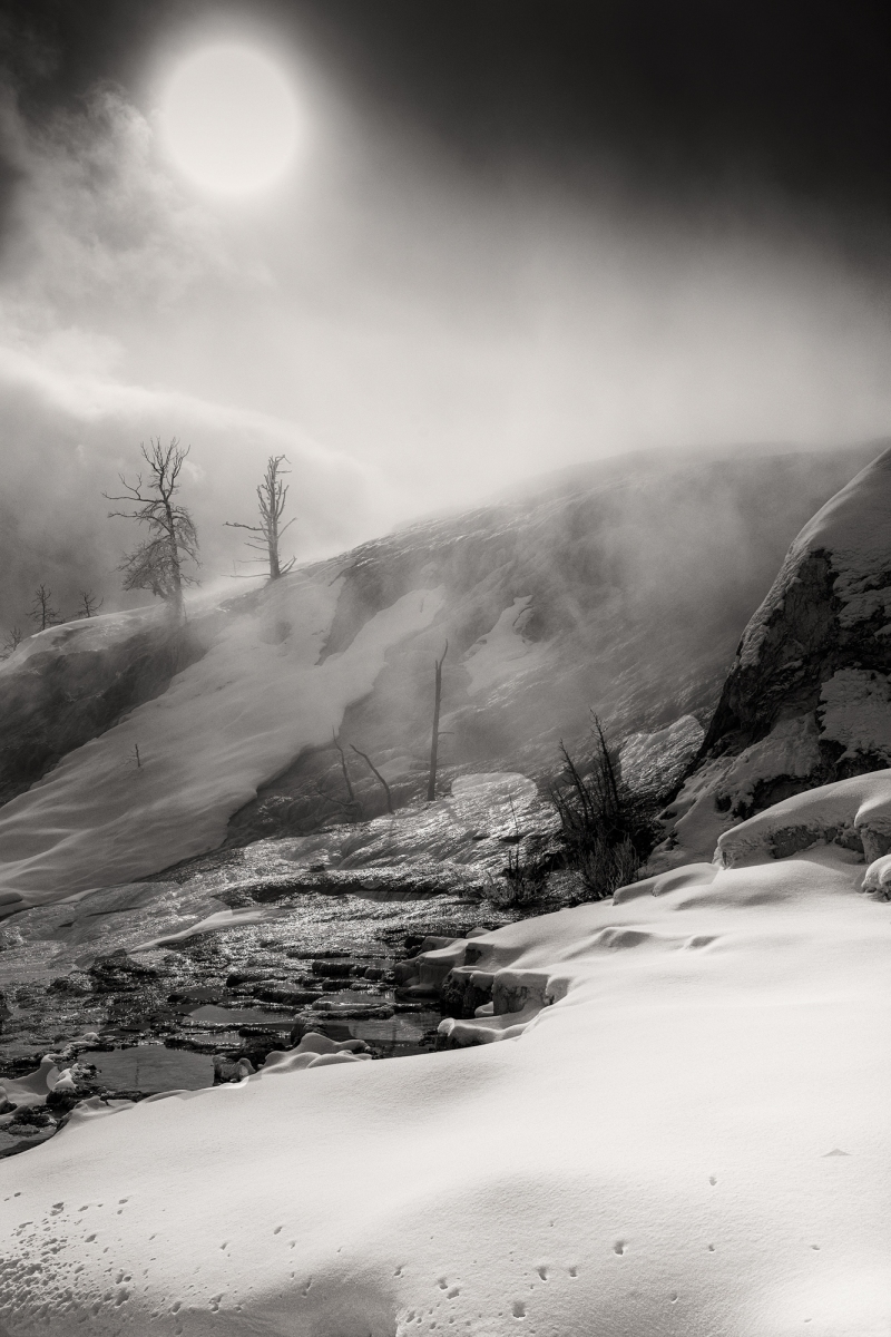 Yellowstone-2024-5