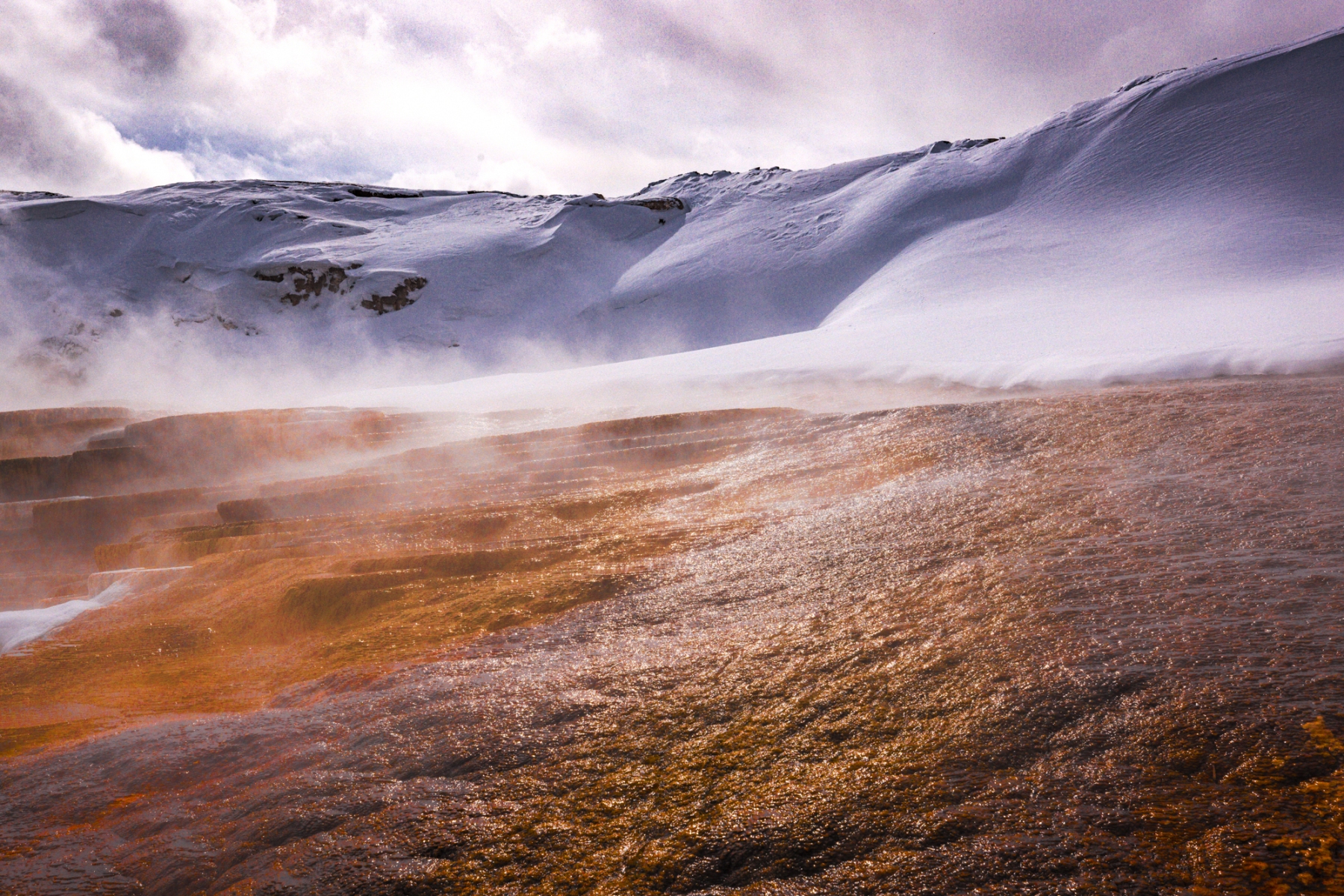 Yellowstone-2024-9