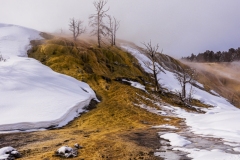 Yellowstone-2024-1